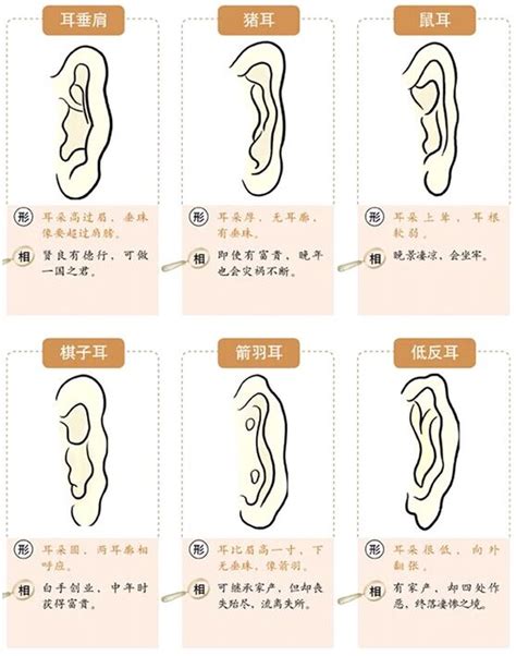 佛耳面相|面相耳朵图解【最详细版】 – 杨易德全集官网